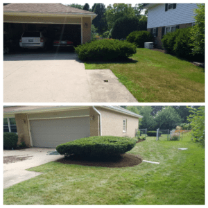 Mulch Installation