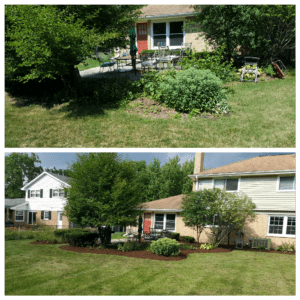 Mulch Installation