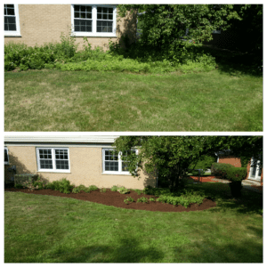 Mulch Installation